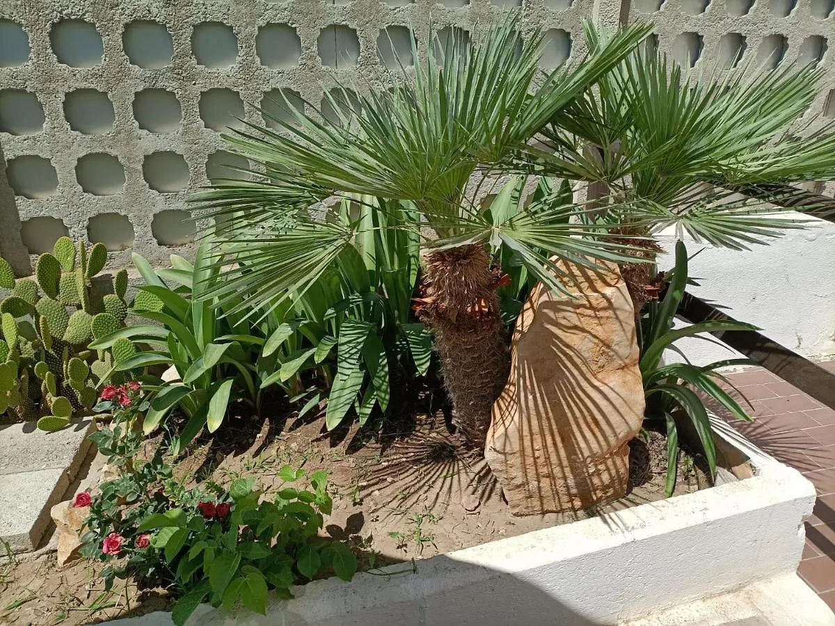 Mony'S Island B&B Alghero